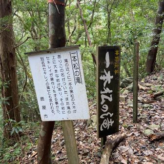 結構下りそうだったのでパス