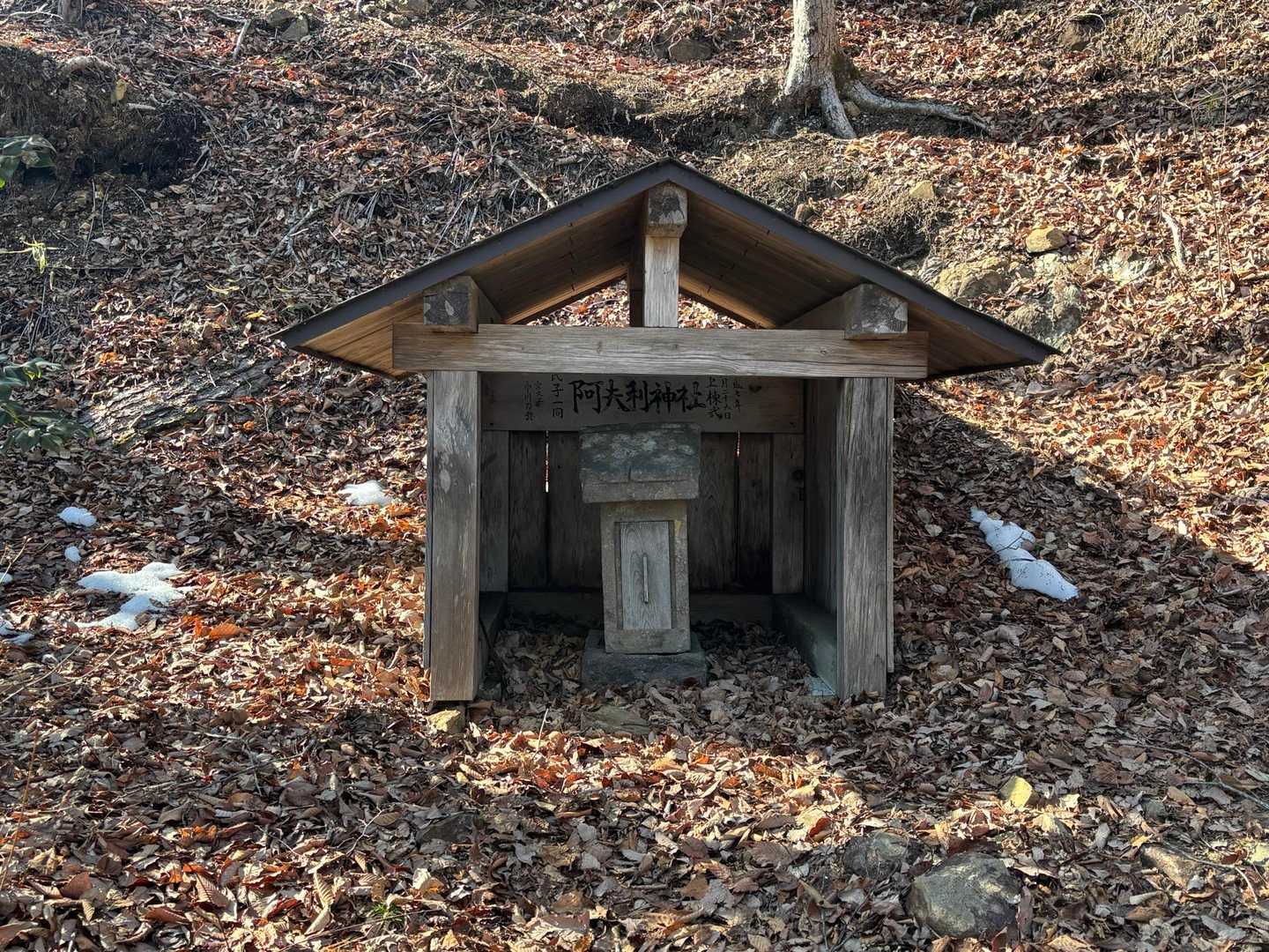 関山 周回コースの写真