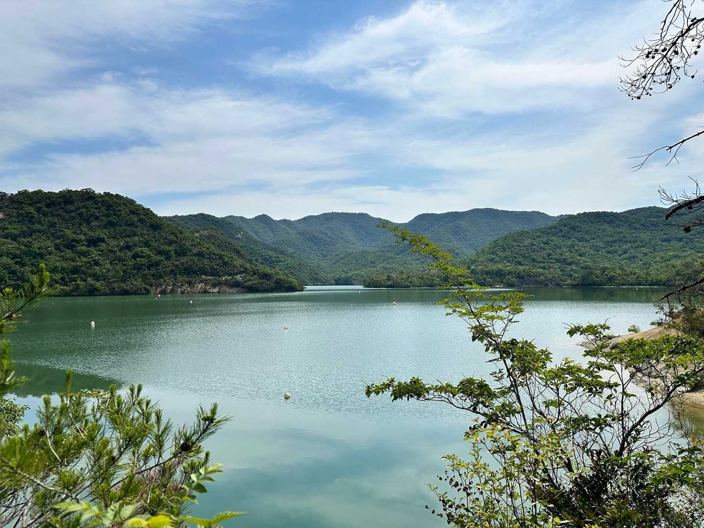 昭和池　綺麗です