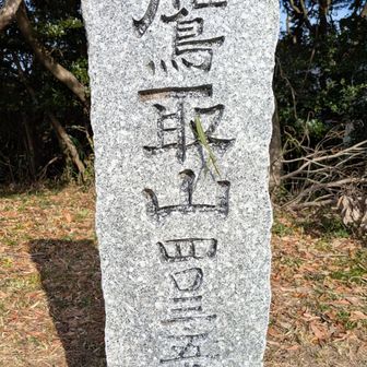 まだ日向ぼっこ中かい🧐カマキリさんよ!