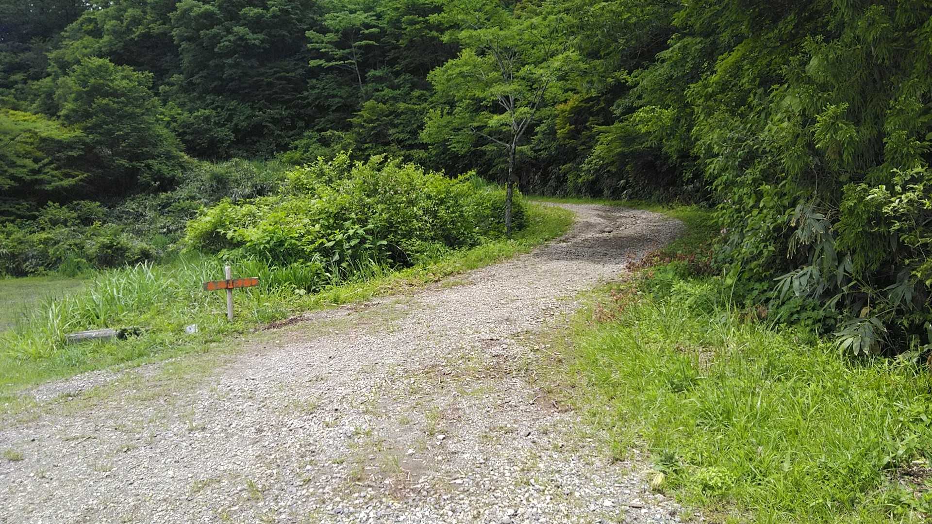 登山道入口へはここから
(下山してきた親切な女性2人連れに教えていただきました)