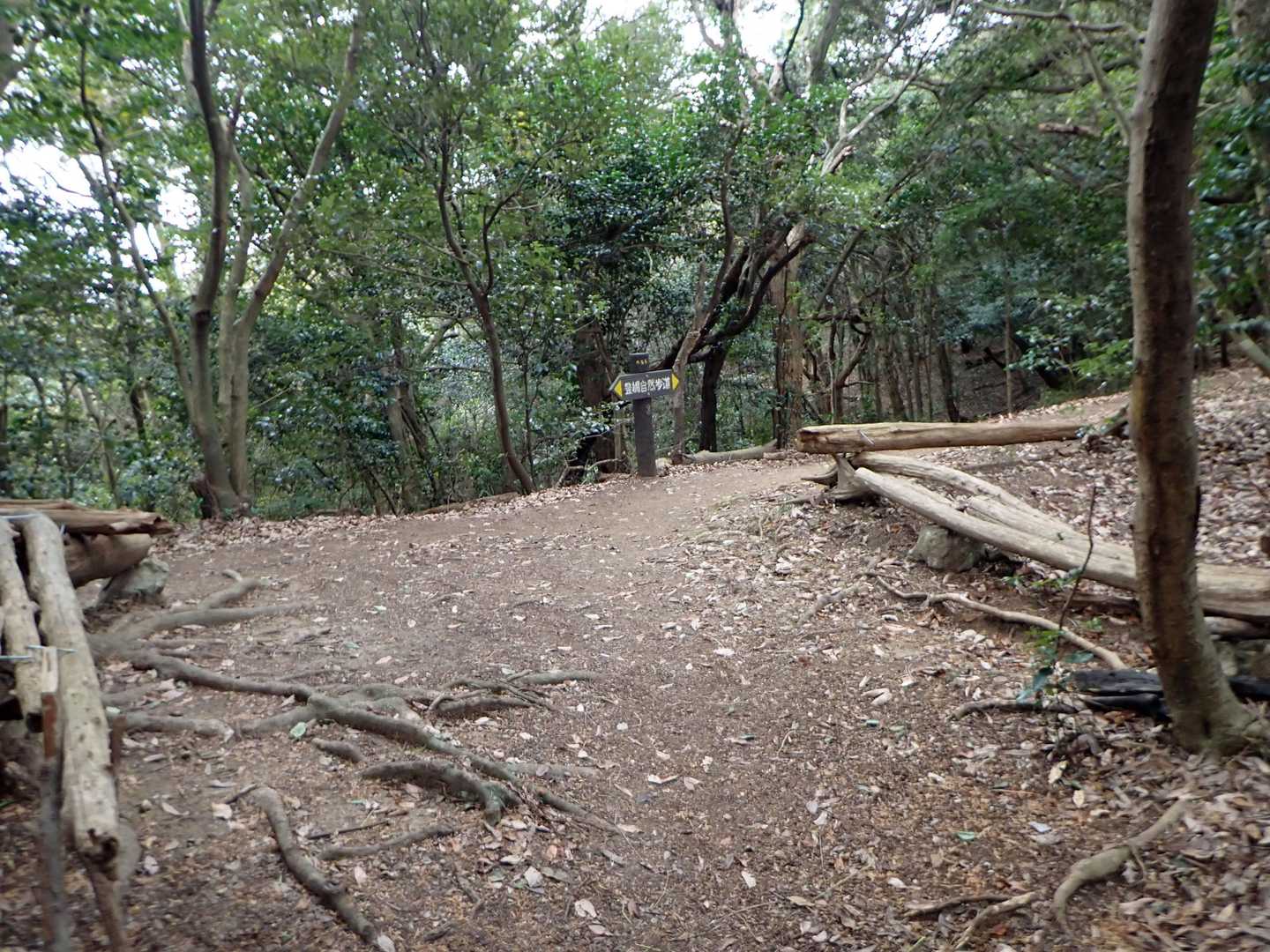 豊橋自然歩道本線に道標５５番で合流。