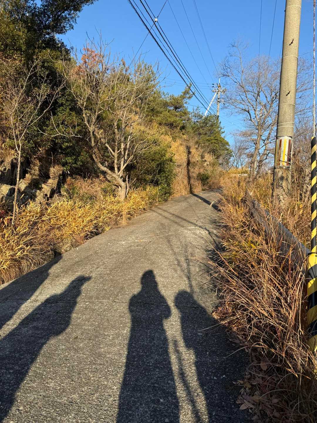 作業道に出ます。