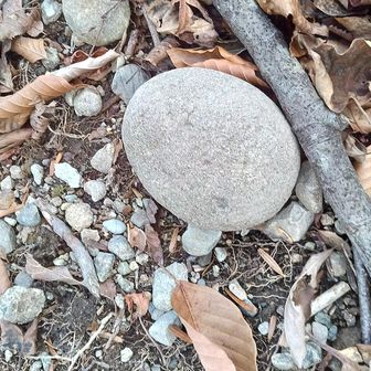 コロコロ丸い石が多い