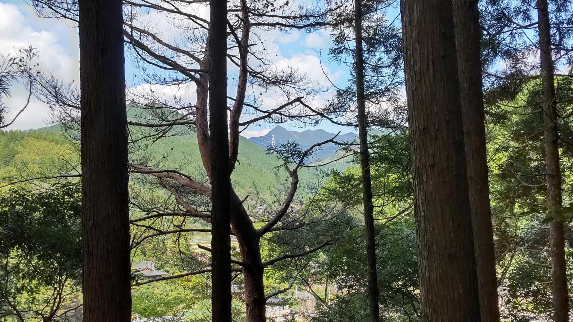 途中　眺望✨