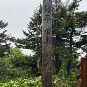 山頂に着きました🙌🏻
新しい山頂の看板？も出来てた😳