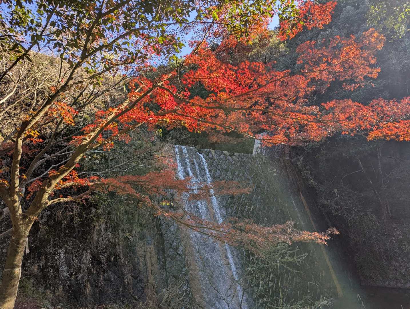 水分神社登山口-岩谷観音跡-高尾山-呉娑々宇山 周回コースの写真