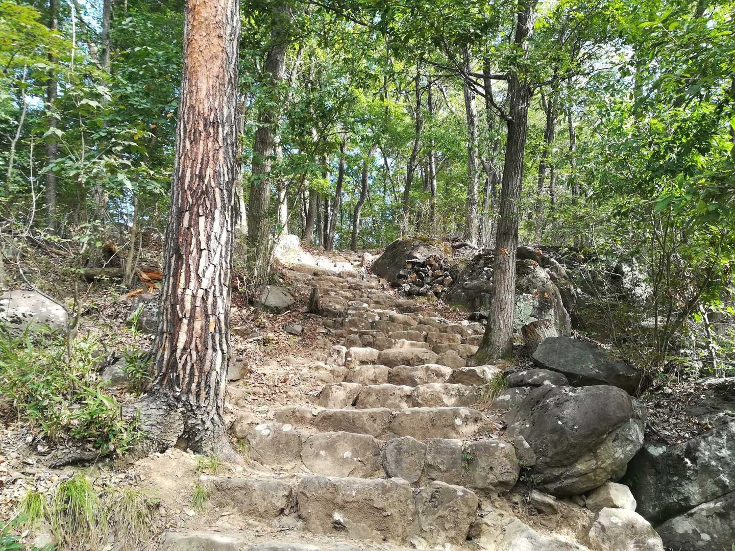石を掘って作った階段😲
鋸山みたいです🎵