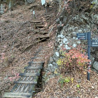 舗装路から登山道へ