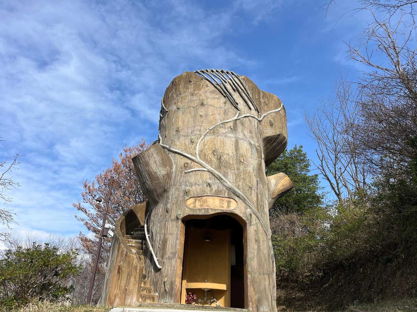 足を伸ばして大山展望台へ
なんともオシャレな展望台で下がトイレになってます🚻