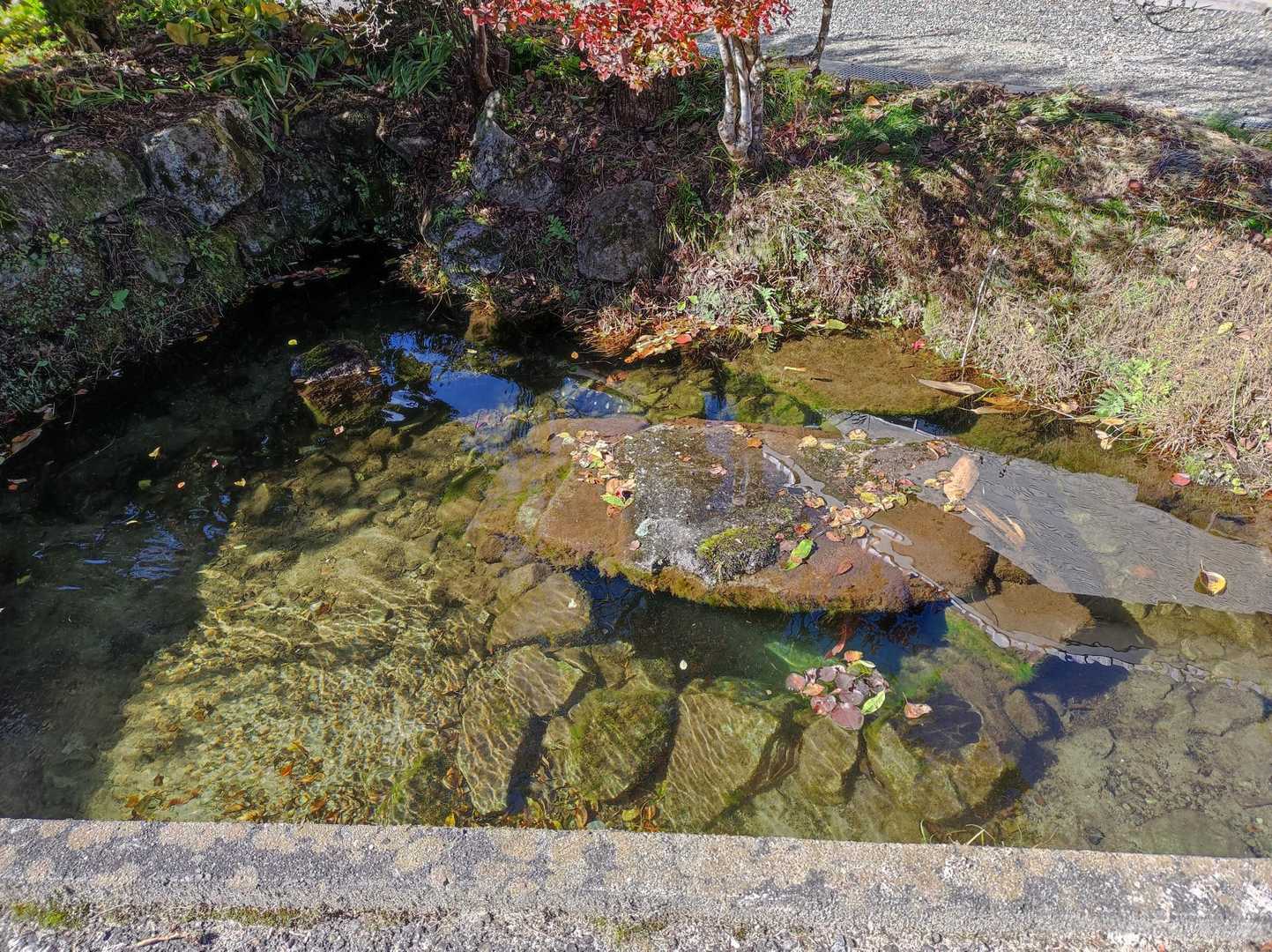 高鳥屋山-梨子野山-梨子野峠 縦走コースの写真