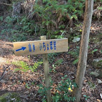 気になるおちょぼ岩