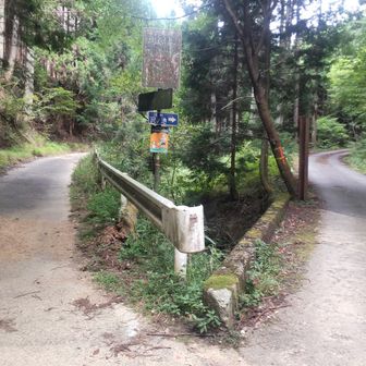 菩提川沿いの分岐点、右は沢ノ池へ、左は上ノ水峠（かみのみずとうげ）方面。
上ノ水峠ルートにしても、京見峠ルートにしても、段差が多く、MTBなど担ぐつもりでなければチャリは通れません。（一部歩いて確認した）