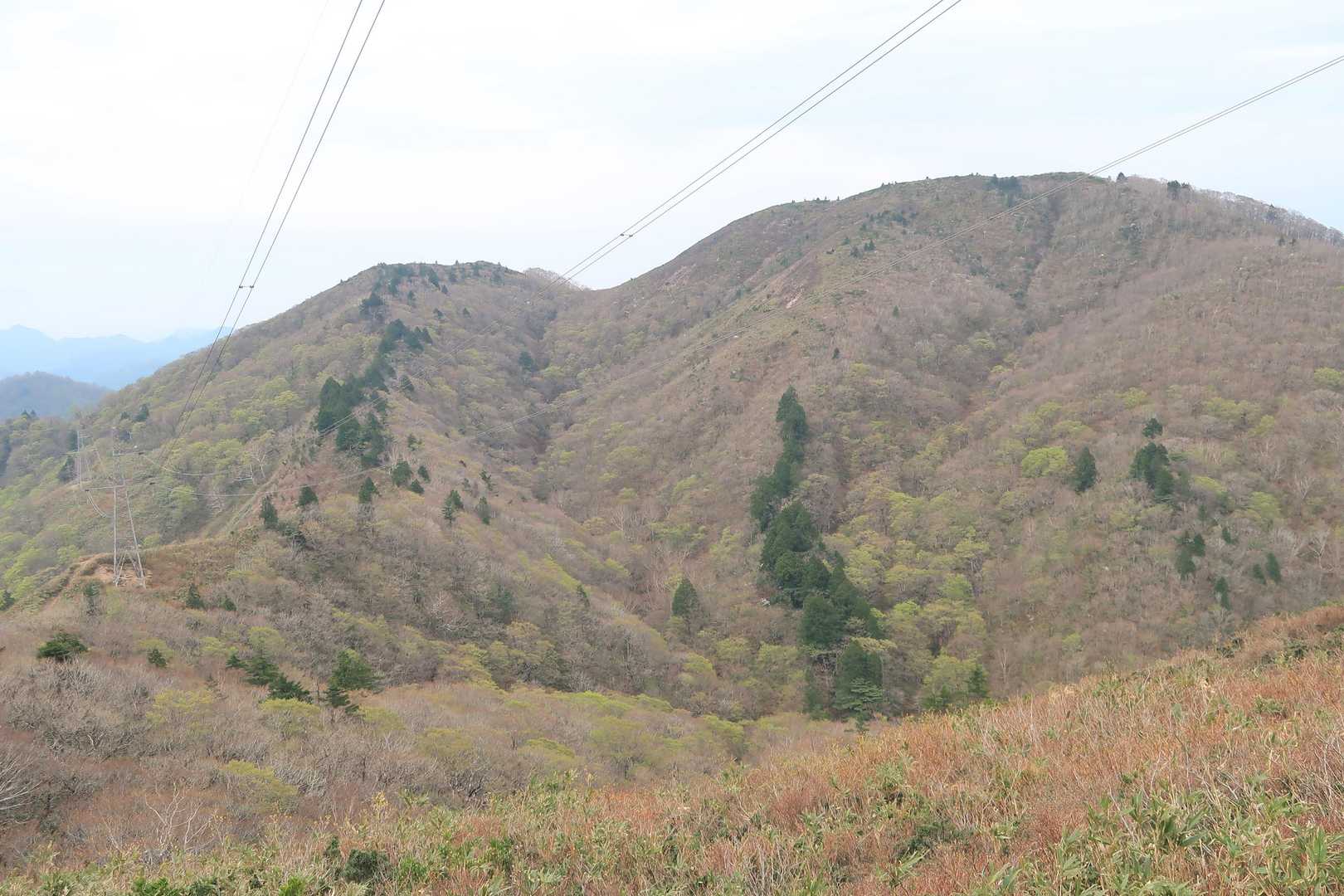 右が頂上。左の小ピークから回り込みます。