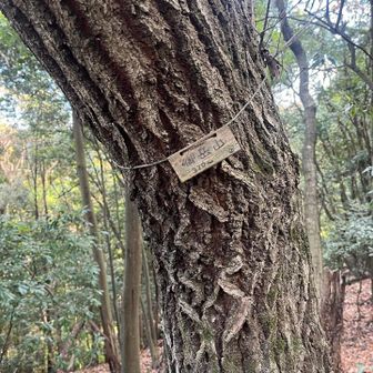 本日のラストピーク御岳山
西武鉄道の電車が警笛音を鳴らすのが聞こえたので、トンネルにでもはいったのかな？