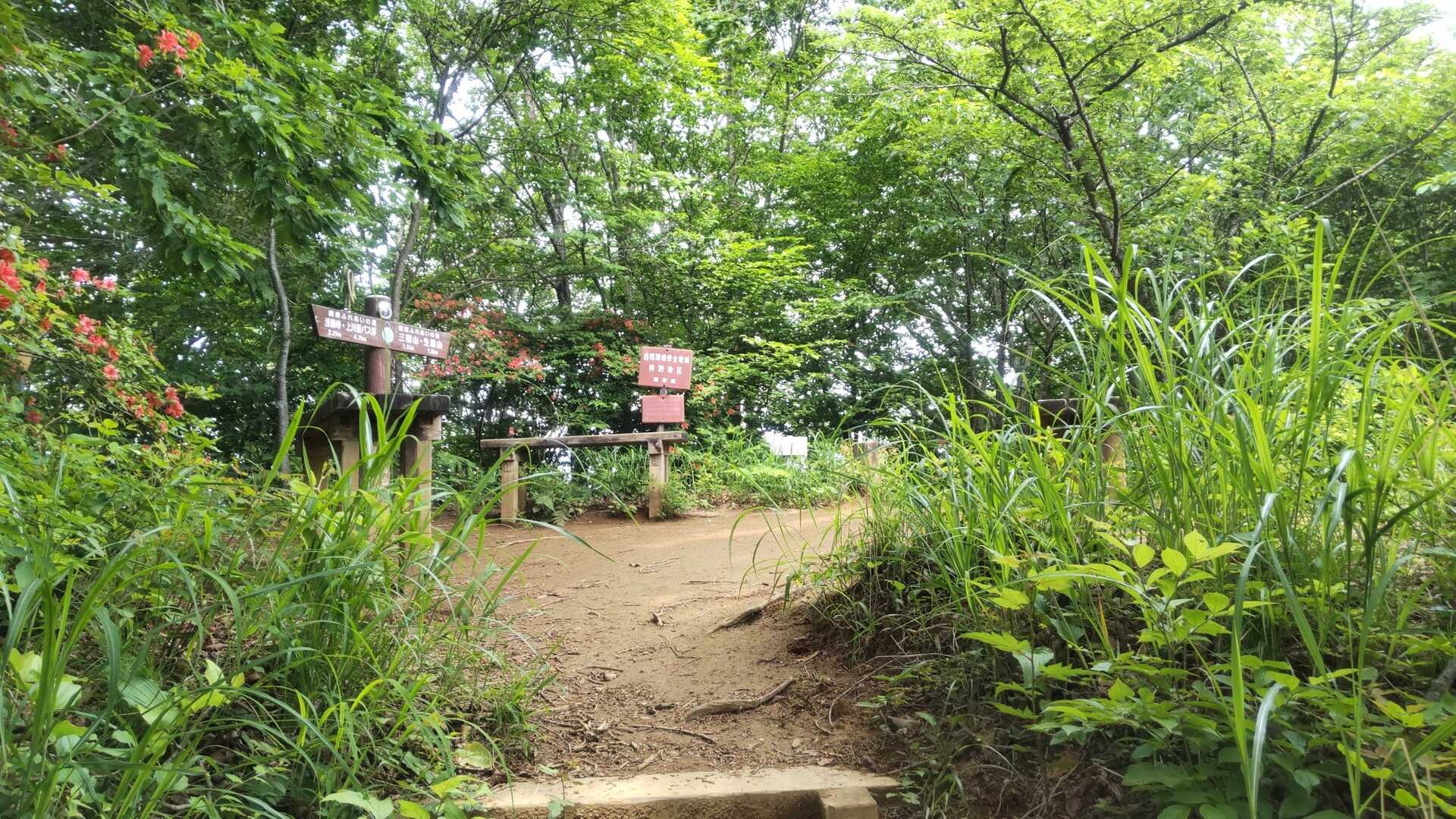 熊倉山の写真