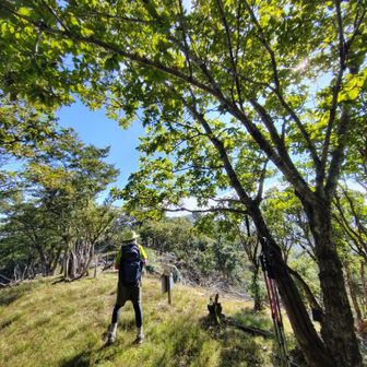 親父山に着く
