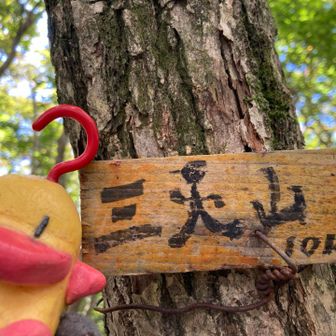 帰り道は尾根ルート。
途中の三人山も見落とすことなく来れました。