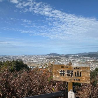 お昼からは青空へ
登り始めは風が強くて肌寒かった