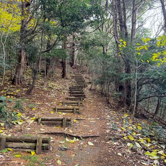 階段　できるだけ横の斜面を👣