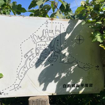 白鳥城跡平面図