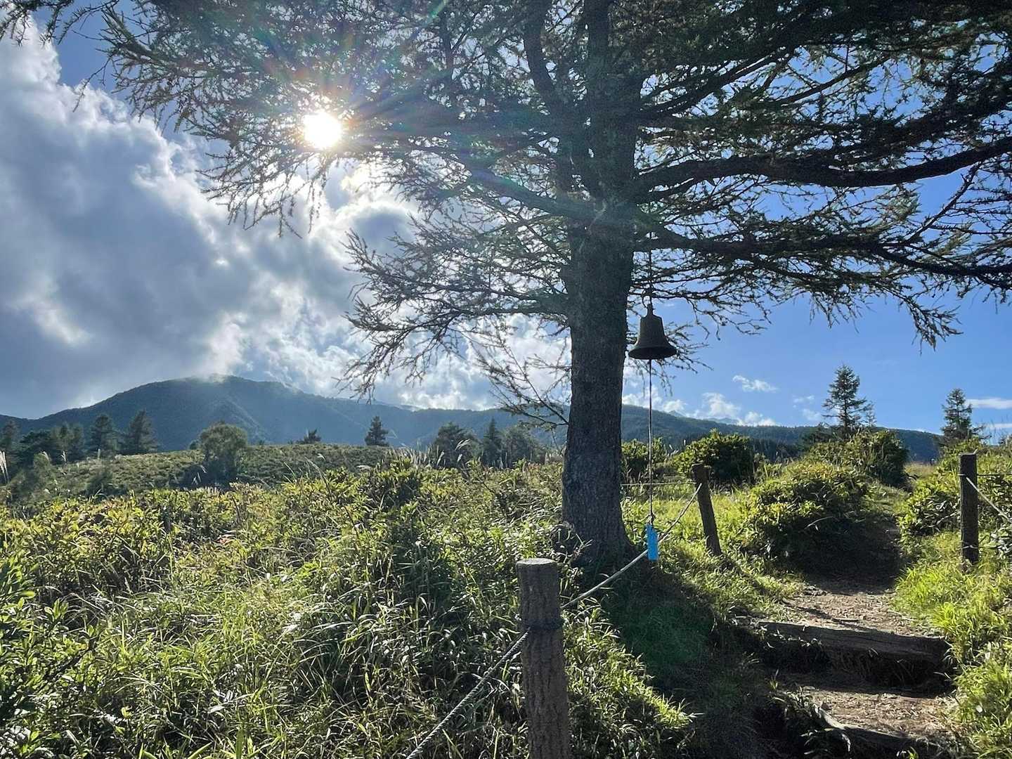甘利山登山口-甘利山-南甘利山 往復コースの写真