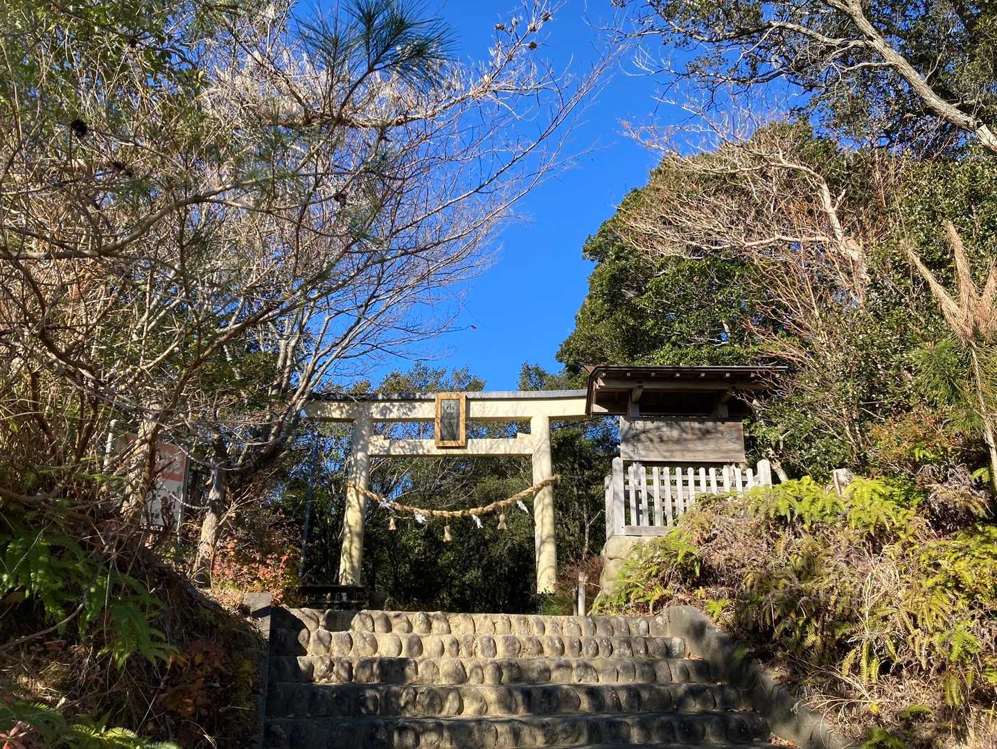 今日は…こちらから