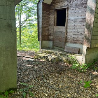 おトイレだったのか？