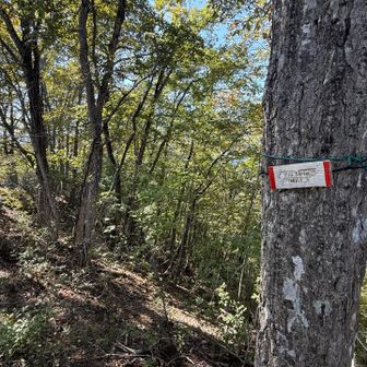 峰山
暑くてバテバテ💦
この後、オキ山のピーク見落とし