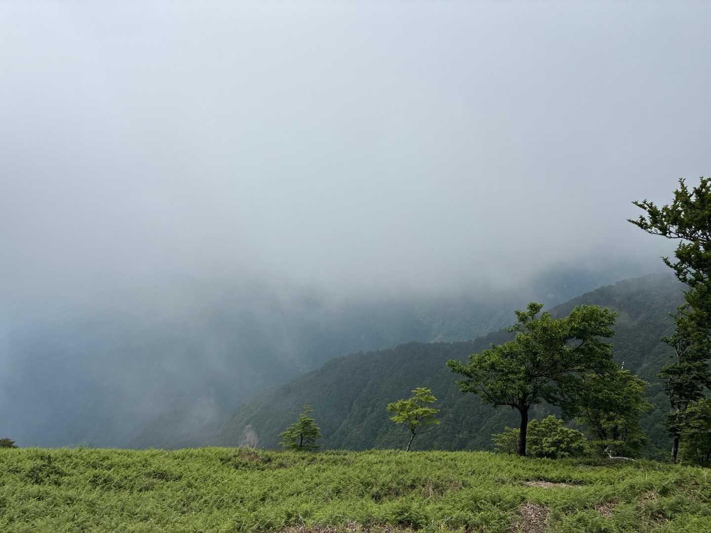 稜線、ガスガス☁️