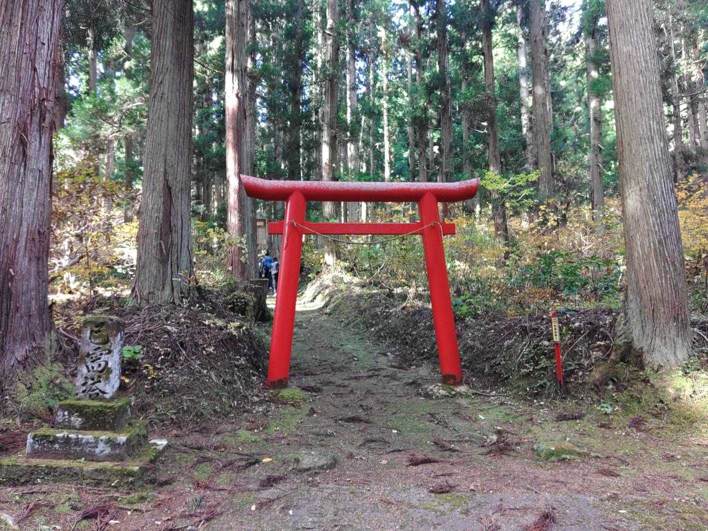 ここから山道へ