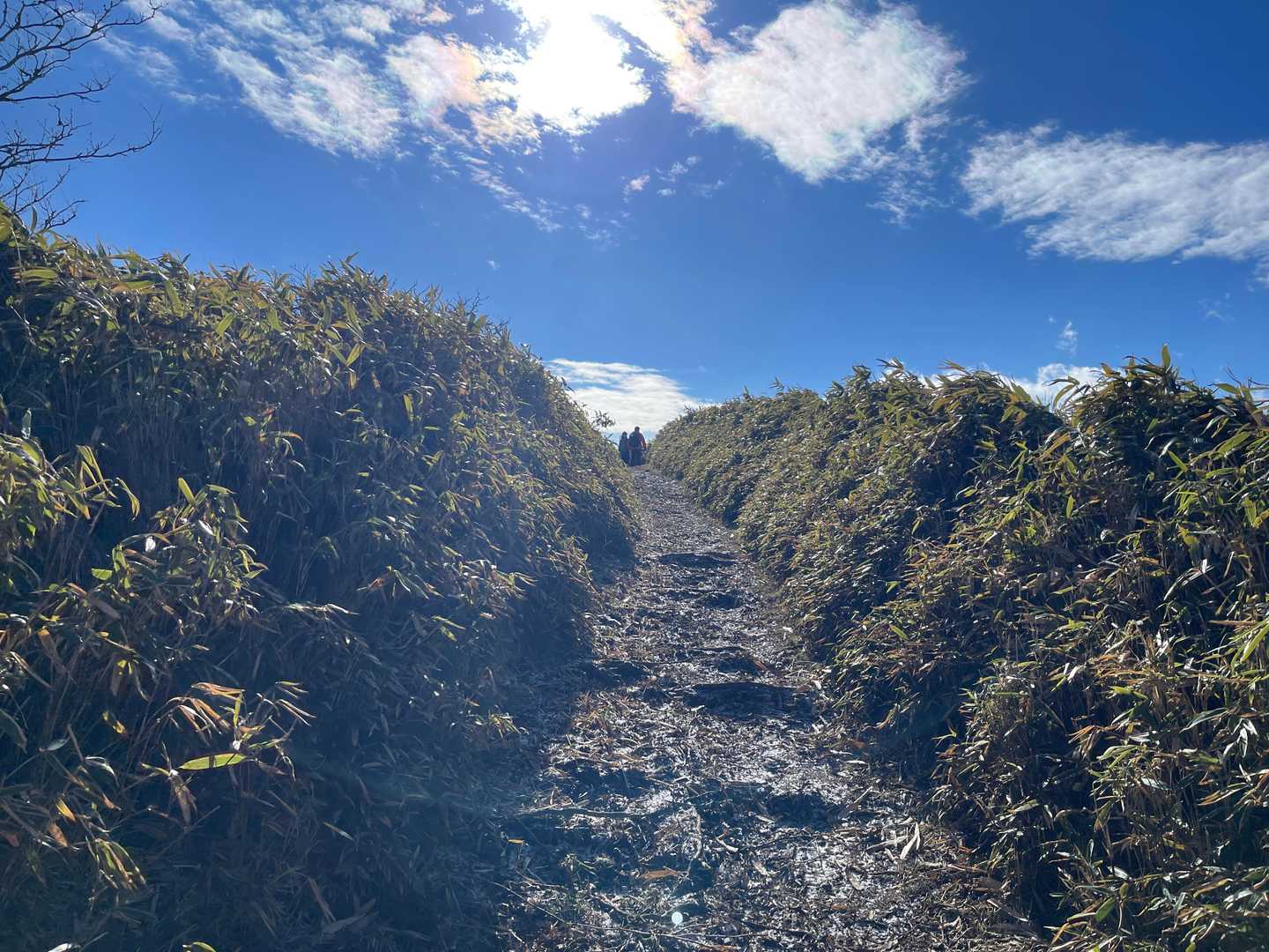 うつろぎ山山頂付近ではすっかり快晴