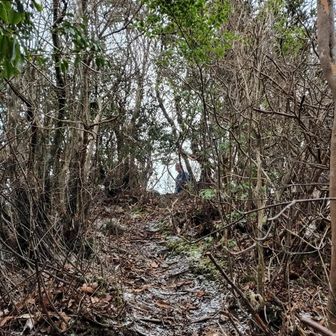 ピークが見え、嬉しくなり写真撮影後、右足がぐらっとなり、倒れかける。
くわばら、くわばら。😅😨