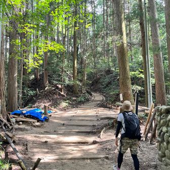 この登山道はキレイに整備されていてずっと階段だった