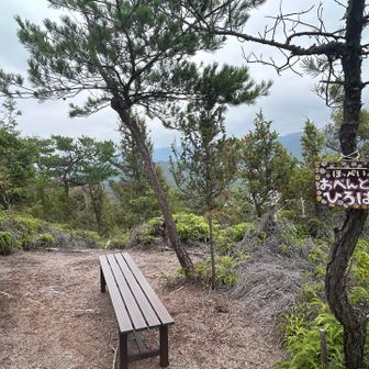ベンチ付きの展望場所。この手前の見晴らしの良い岩でお茶タイムしてしまったので、ここはスルー。この山は休憩できる場所がアチコチにあってのんびり山歩きにオススメです。