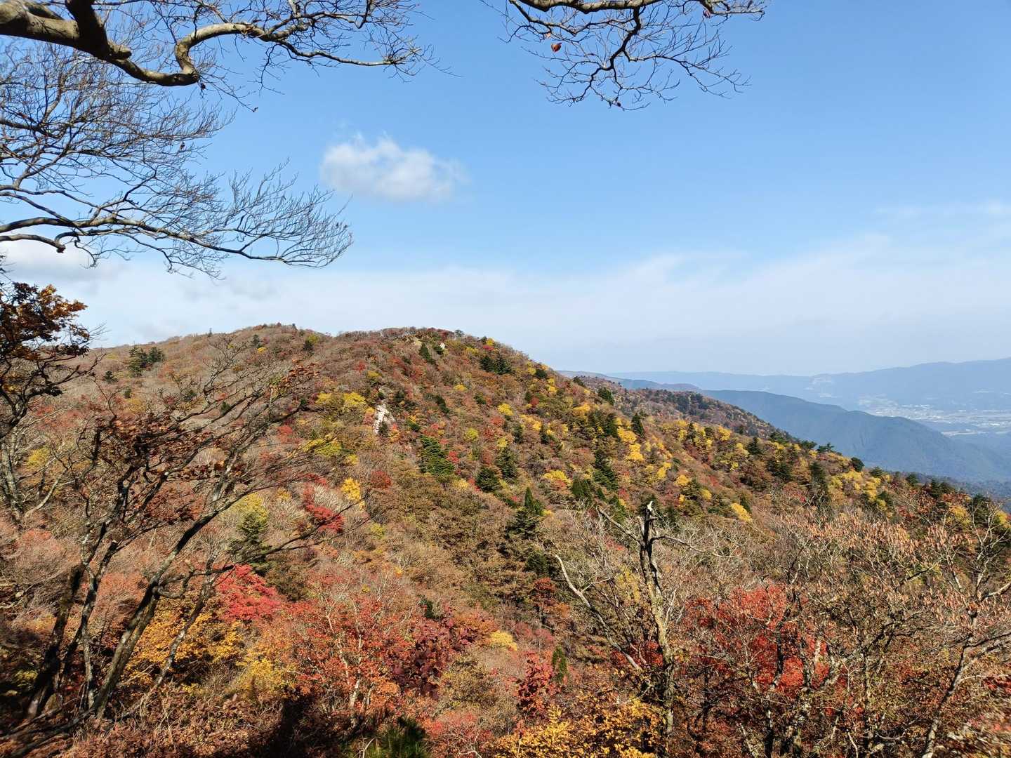 稜線を歩くと、陽の当たる三池岳の🍁紅葉が映えます