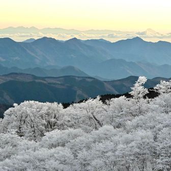 風上の北西側に谷があり、かつコルでもある明神平

ベンチュリー効果か、地形風で霧氷がつきやすいようです
