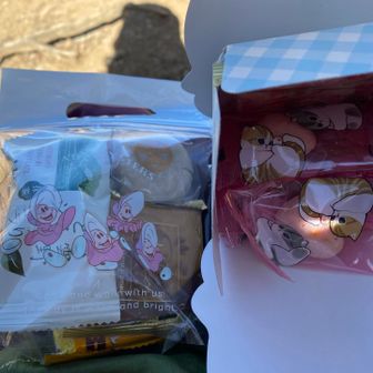 美味しそうなお菓子いただいてしばし休憩〜☕️