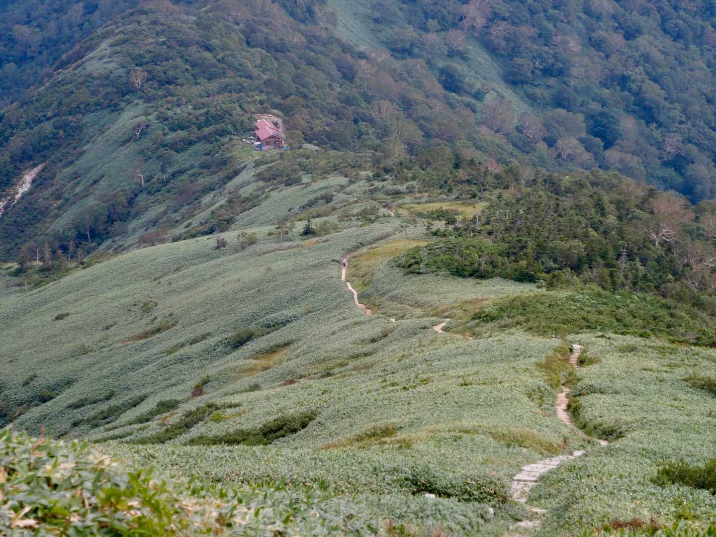 山の家までの下り。
膝痛気味になっていたので休み休みの下山。