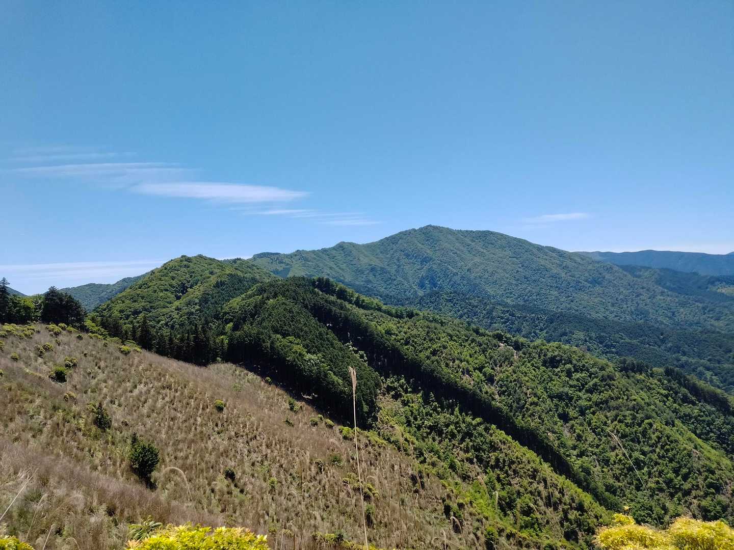 高見山 一望⛰️
ここでカフェ☕✧休憩☕✧
風が心地よく✨
