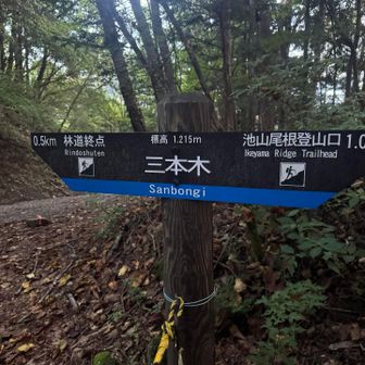 三本木