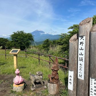 大野山の頂上碑

せっかくの頂上碑だけど
奥の木がちょっと邪魔ですね。