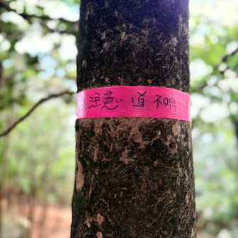 他の方のレポでも分かりにくいとありましたがホントに分かりにくい💦