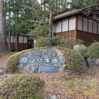 桜がまだだったのでゆったりしてました