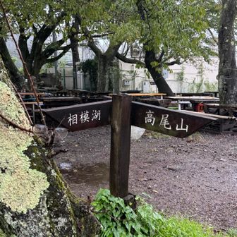 相模湖からトレラン勢が大勢走って来てた🏃‍♂️🏃🏃‍♀️