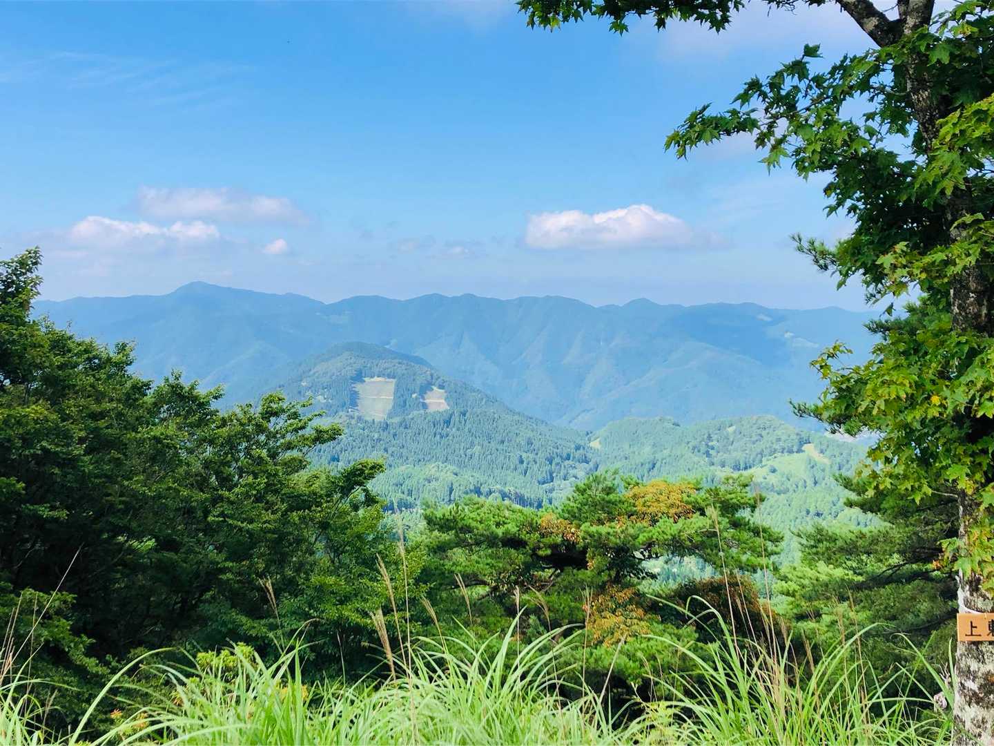 上東山三角点の眺望ポイント👀✨✨
ずいぶんハッキリしてた✨✨