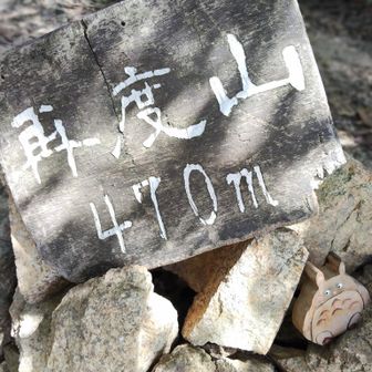 トトロがいました