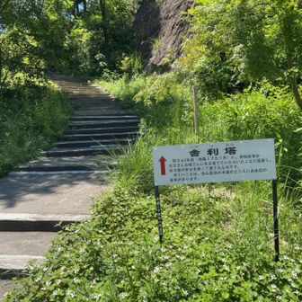 別のルートで下りて