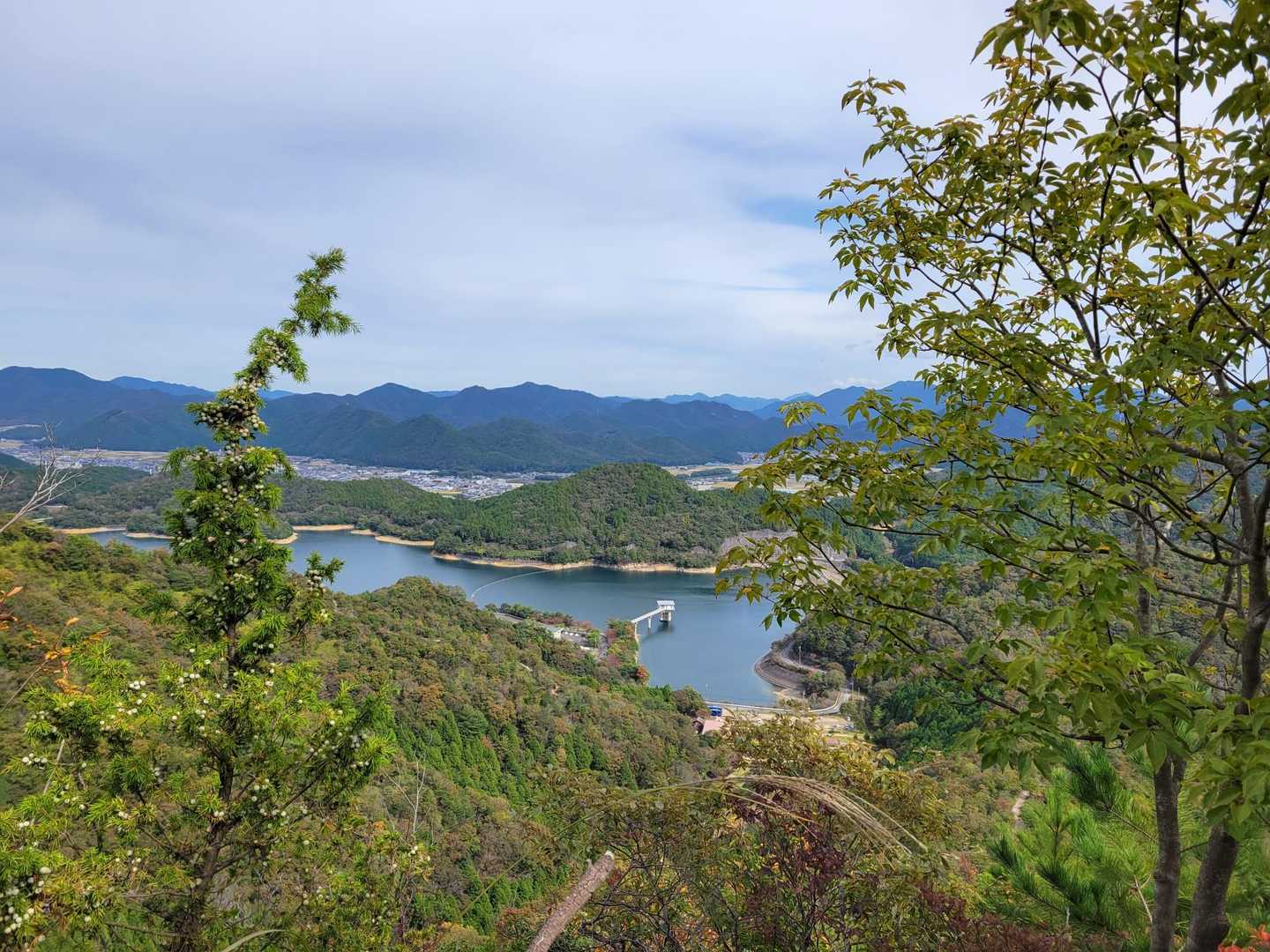 綺麗ですね
