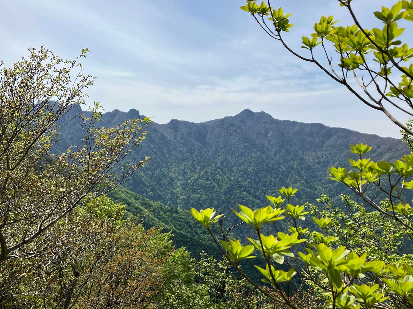 分岐まで戻ってきました
祖母山へ「さよなら」の挨拶をします

